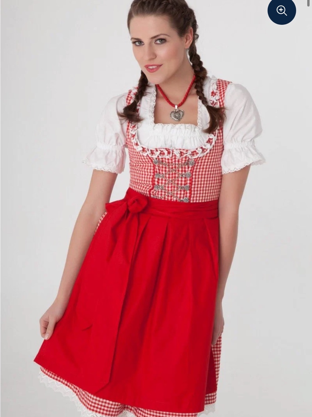 Red Gingham Dirndl Skirt with Apron